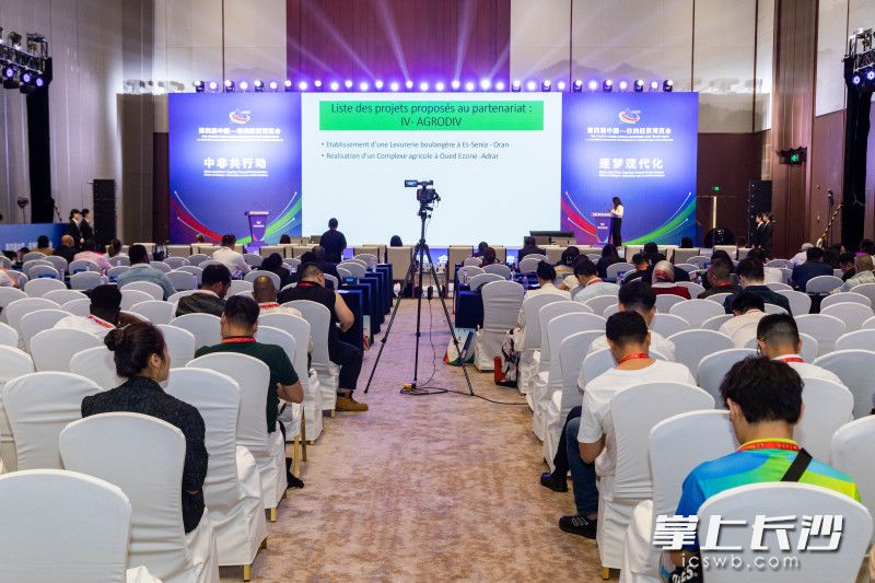 中非产业链合作交流活动。长沙晚报全媒体记者 董阳 摄