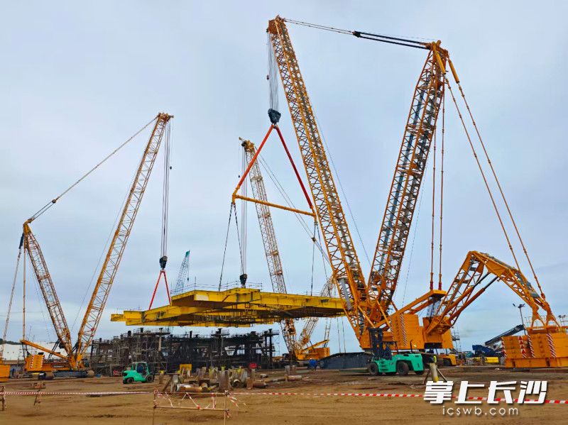 抬吊现场。均为长沙晚报通讯员高鹏供图