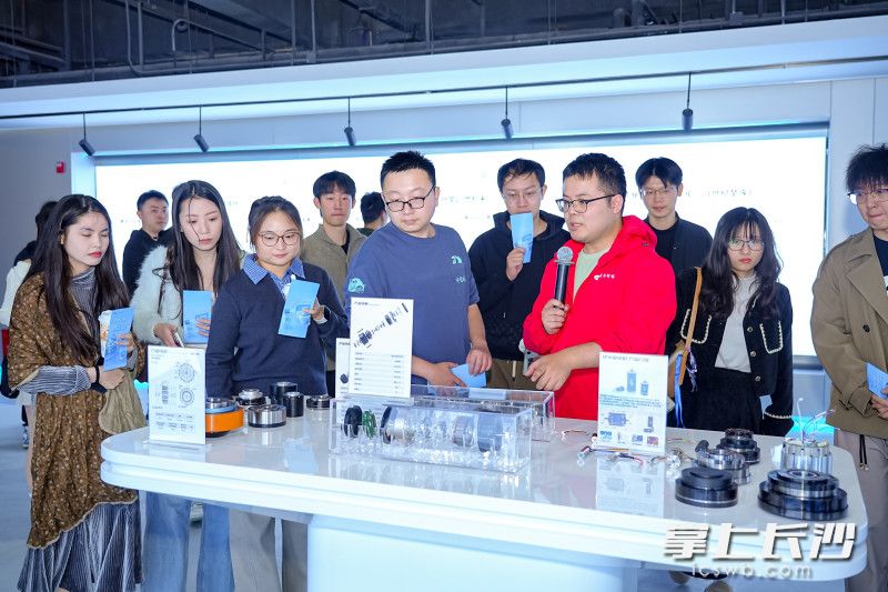 11月29日，高校学子们在长沙开启了一场沉浸式CityWalk体验行。