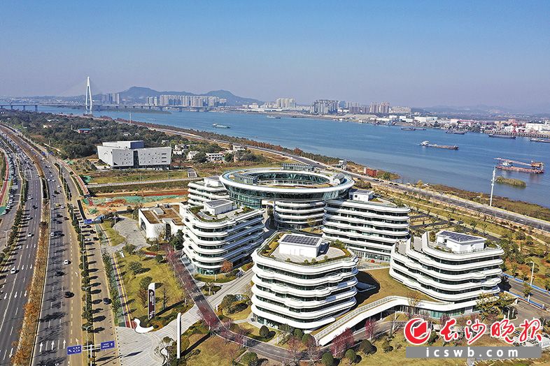 大泽湖片区等一批核心集聚区加速“生长”，为长沙能级跃升提供源源不断的动能。均为长沙晚报全媒体记者 王志伟 摄