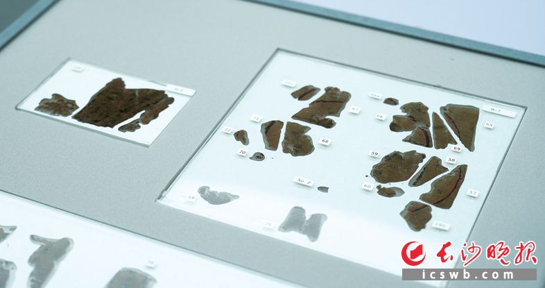 10月13日，长沙子弹库战国帛书第二、三卷划拨入藏湖南省博物馆。这批珍贵的典籍在海外漂泊近80年后，终于回到了它的出土之地。长沙晚报全媒体记者 邹麟 摄