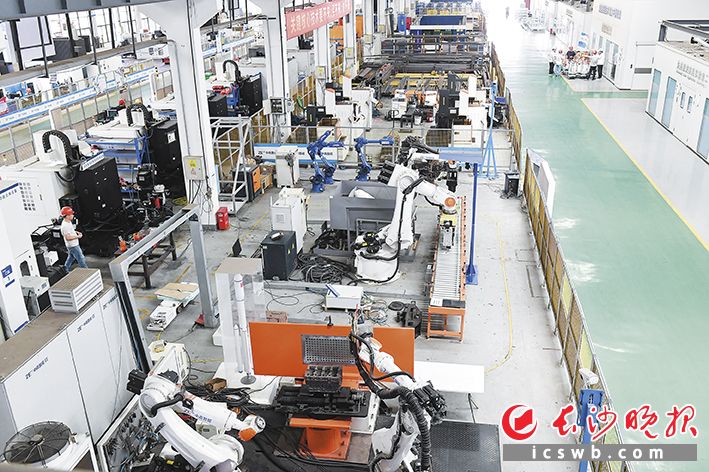 在长沙，一批科技型中小企业经过多年持续研发和行业深耕，成长为国家高新技术企业和知名行业龙头企业。图为长泰机器人生产车间。长沙晚报全媒体记者 王志伟 摄 