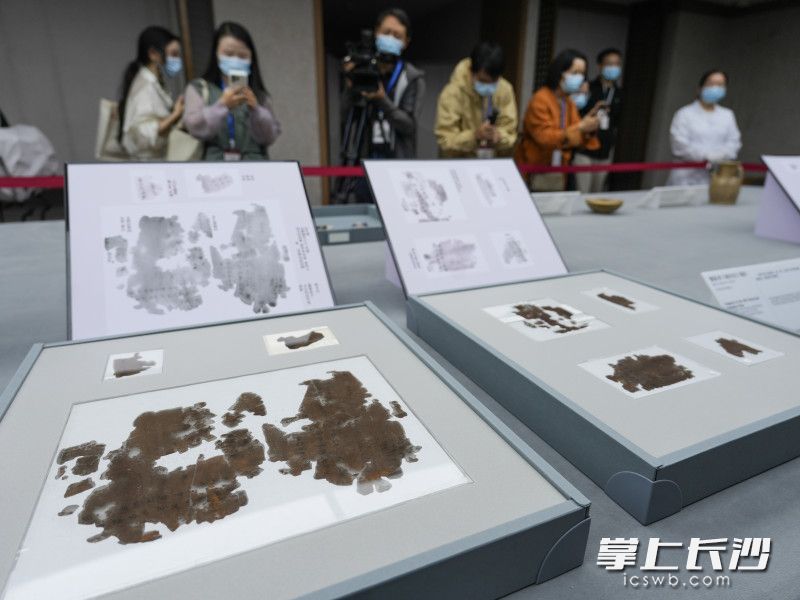 长沙子弹库战国帛书第二、三卷《五行令》与《攻守占》正式入藏湖南省博物馆。 长沙晚报全媒体记者 邹麟 摄