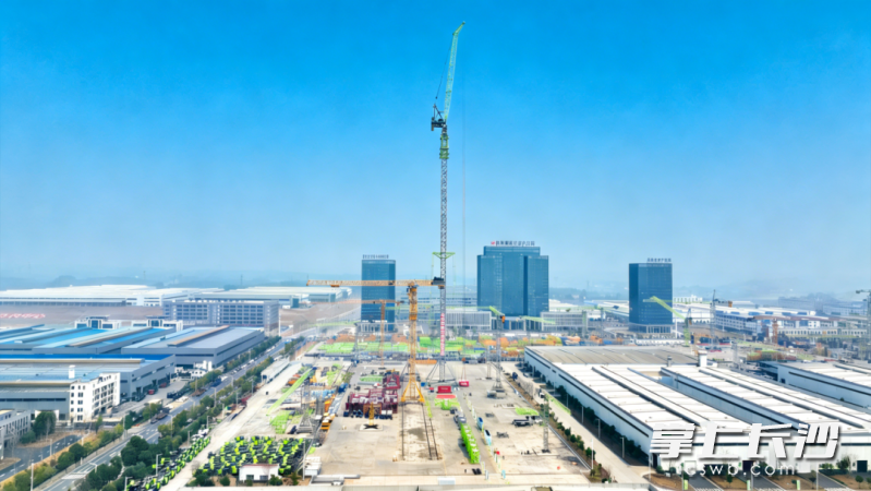 中联重科发布的全球最高最大风电塔机LW3600-240NB。受访者供图