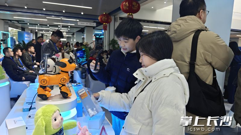 100余款机器人产品吸引了市民的目光。