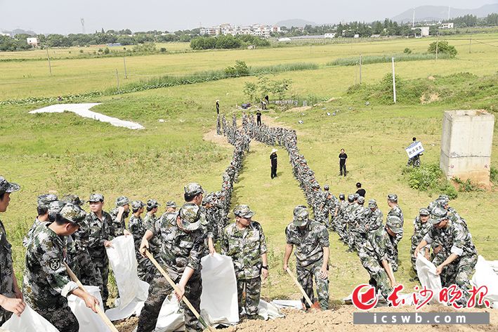 望城区人武部开展防汛抢险应急演练。长沙晚报通讯员 严红雨 供图