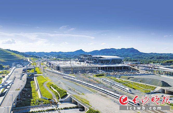 7月30日,长沙高铁西站项目建设正在进行钢结构安装、金属屋面及机电调试等作业。长沙晚报全媒体记者 邹麟 实习生 余若嘉 摄影报道