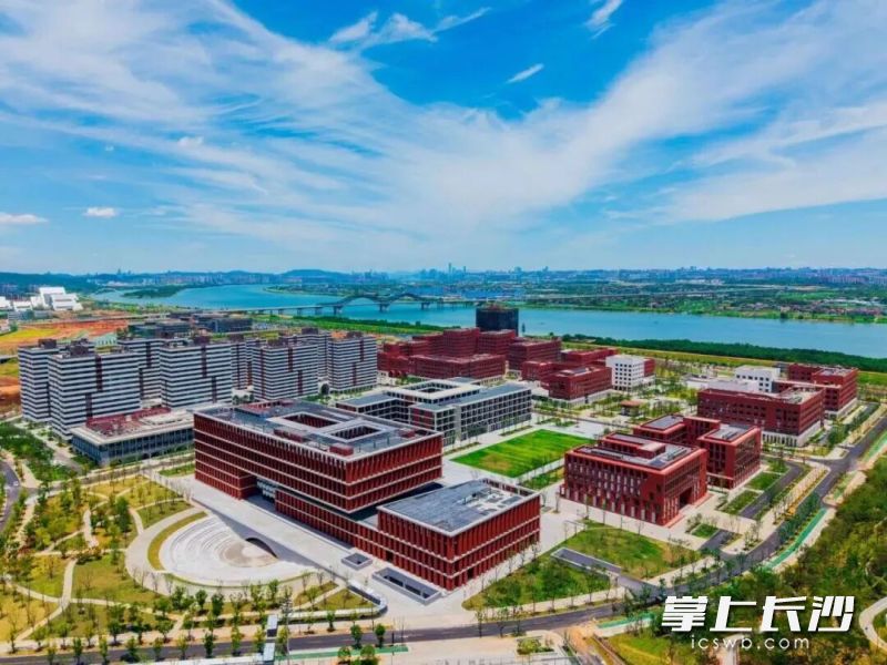 该校区分为学科集群、科创孵化、服务交流生活配套、体育活动五大功能板块。