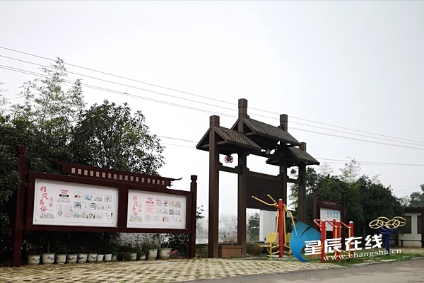 宁乡金洲镇有面漫画墙 在这玩耍还能感受文明新风