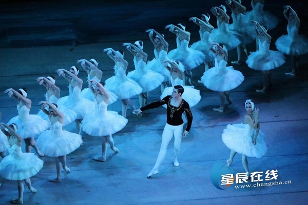 交响曲天鹅湖 document_news_content_5ddc98d428919_watermark1.jpg