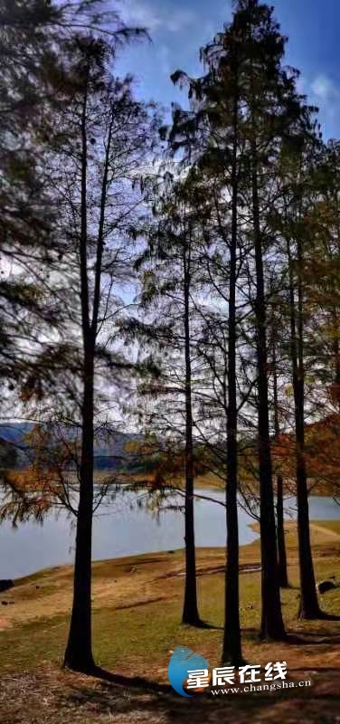 星辰文艺蒋集政那山那水那人初冬坝塘行