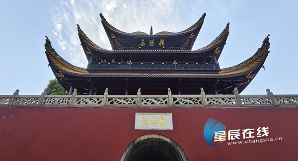 Binance Casino - 领先的