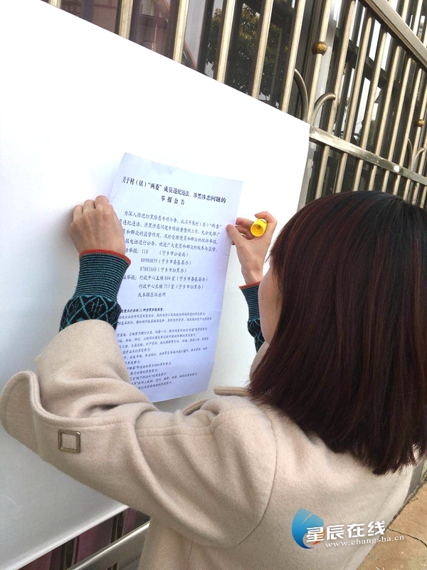 扫黑除恶进行时丨宁乡金洲镇开展扫黑除恶主题