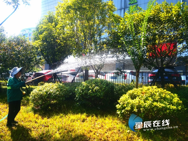 不惧高温“烤”验 长沙全面开启“抗旱保绿”给树木输液“解渴防开云体育暑”(图2)
