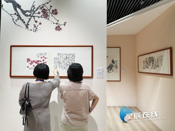 近百件艺术精品展现墨韵里的乡愁 湘籍画家苏高宇作品展在长沙开幕