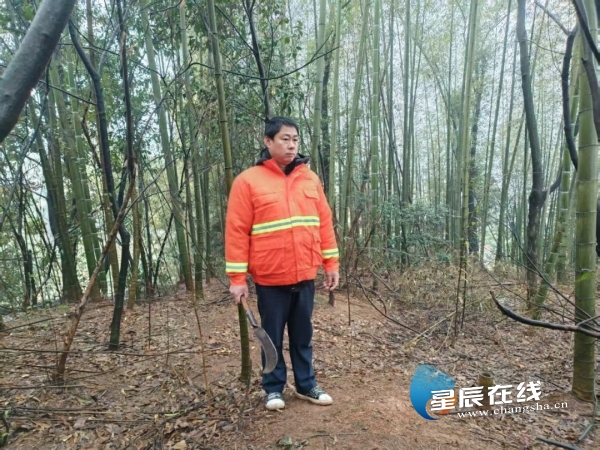 厚植生态文明底色长沙县北山镇这项工作获省级奖补