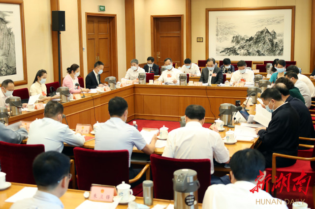 5月27日下午，湖南代表团代表认真审议相关草案修改稿和决议草案。.jpg
