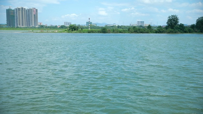 湘江水生态治理"再监督",民盟湖南省委探寻长沙水运绿色发展之路