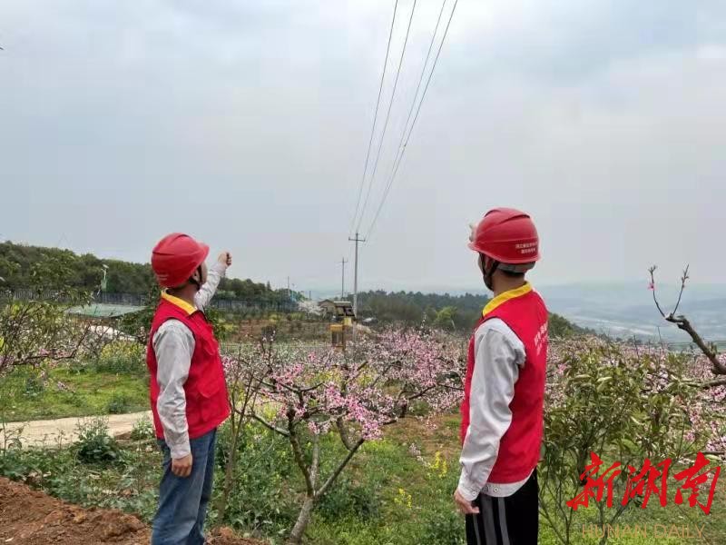 长沙：电力有保障 &ldquo;莲花&rdquo;迎客来