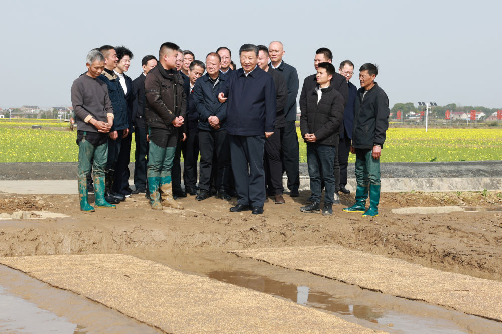 3月18日至21日，中共中央总书记、国家主席、中央军委主席习近平在湖南考察。这是19日下午，习近平在常德市鼎城区谢家铺镇港中坪村走进田间，察看秧苗培育和春耕备耕进展。新华社记者 王晔 摄