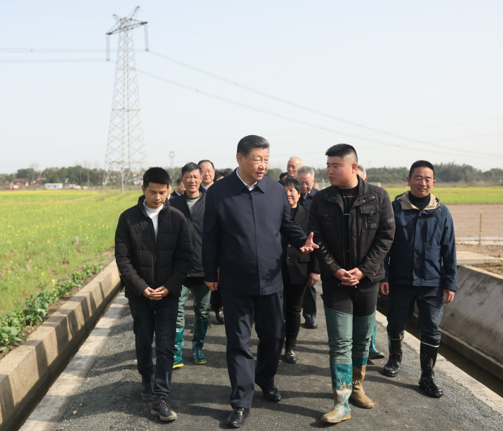 3月18日至21日，中共中央总书记、国家主席、中央军委主席习近平在湖南考察。这是19日下午，习近平在常德市鼎城区谢家铺镇港中坪村，同种粮大户、农技人员、基层干部亲切交流。新华社记者 鞠鹏 摄