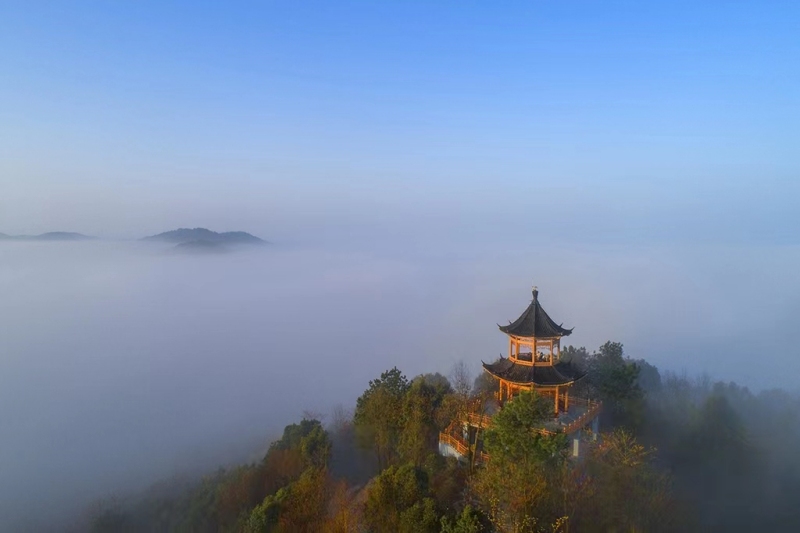 楼台山公园。受访单位供图