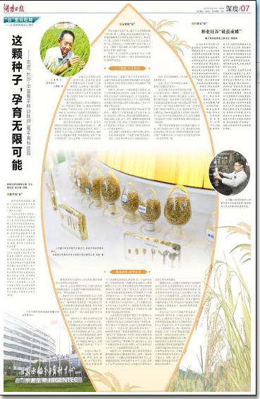 湖南日报深读|这颗种子,孕育无限可能——走进“长沙·中国隆平种业硅谷”隆平高科技园