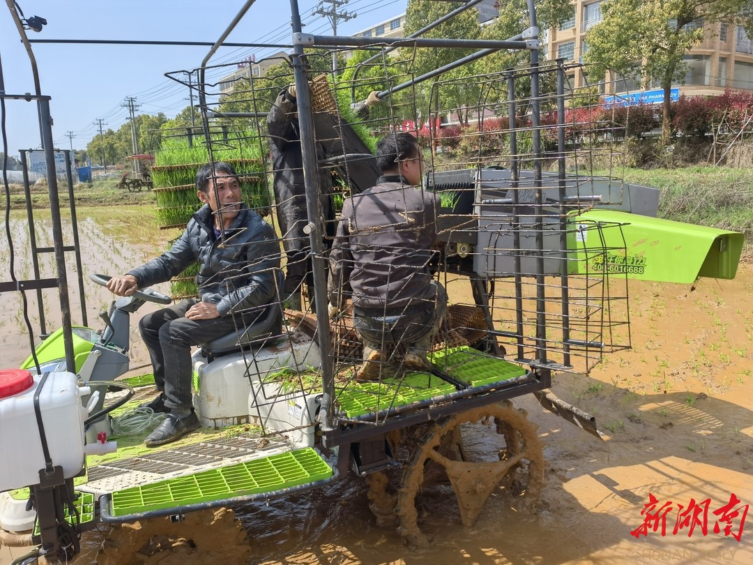 浏阳河畔春风唱  防疫生产两手抓|①浏阳市龙伏镇智能育秧助春耕​
