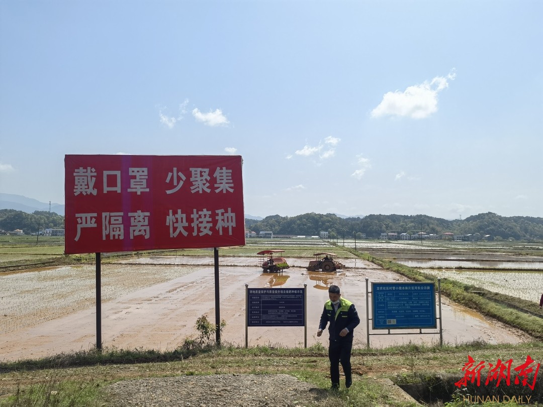 浏阳河畔春风唱  防疫生产两手抓|①浏阳市龙伏镇智能育秧助春耕​