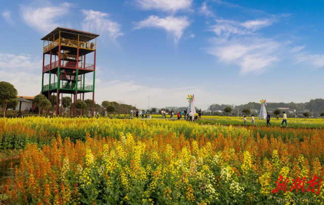 长沙县江背镇:美丽宜居村庄,绘出共富新画卷