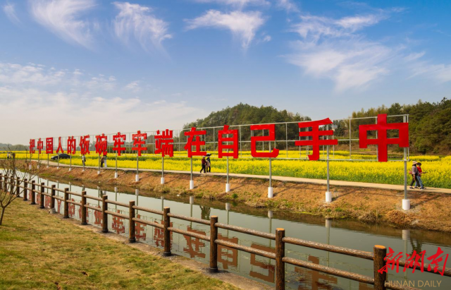 长沙县江背镇:美丽宜居村庄,绘出共富新画卷