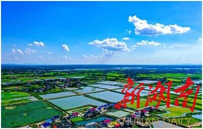 拼经济、抓发展，望城区乔口镇实现农产品销售&ldquo;开门红&rdquo;