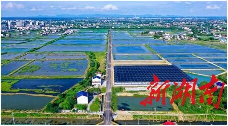 拼经济、抓发展，望城区乔口镇实现农产品销售&ldquo;开门红&rdquo;