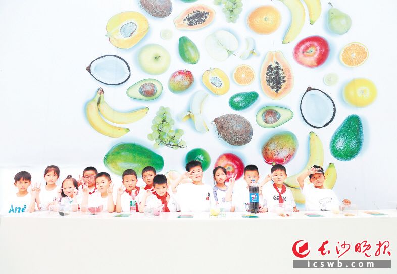 5月26日，来自浏阳大瑶李畋小学的一年级学生在老种子博物馆参观。长沙晚报全媒体记者 颜开云 摄