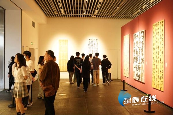350余件作品尽展湖湘青年风采 来湖南美术馆欣赏高校毕业季作品吧!