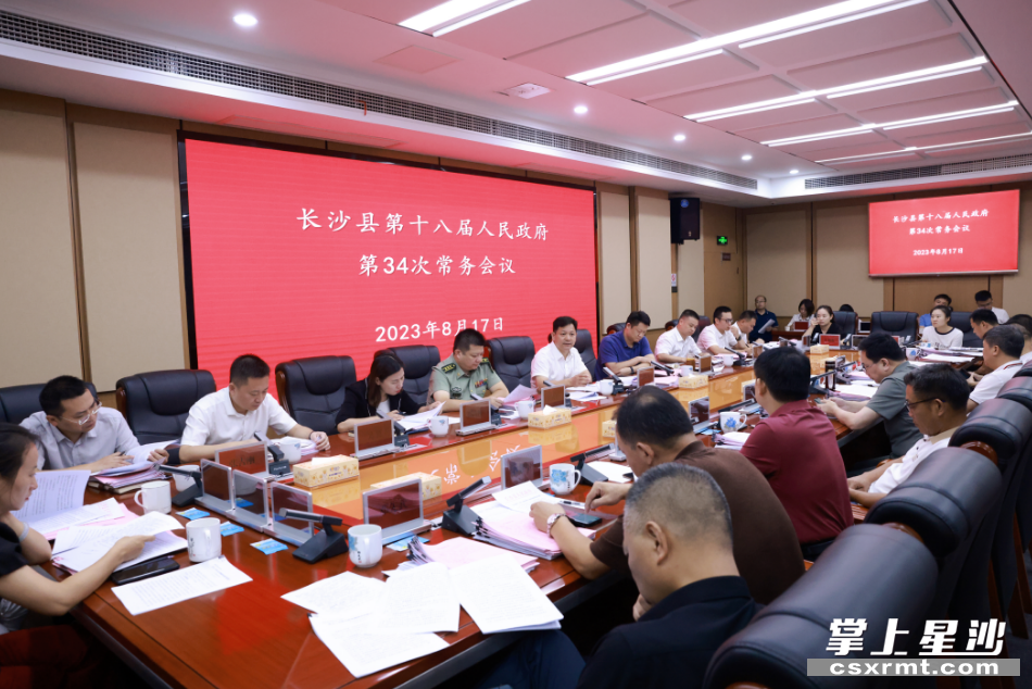 会议现场。董坤 摄