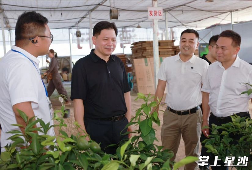 调研现场。董坤 摄