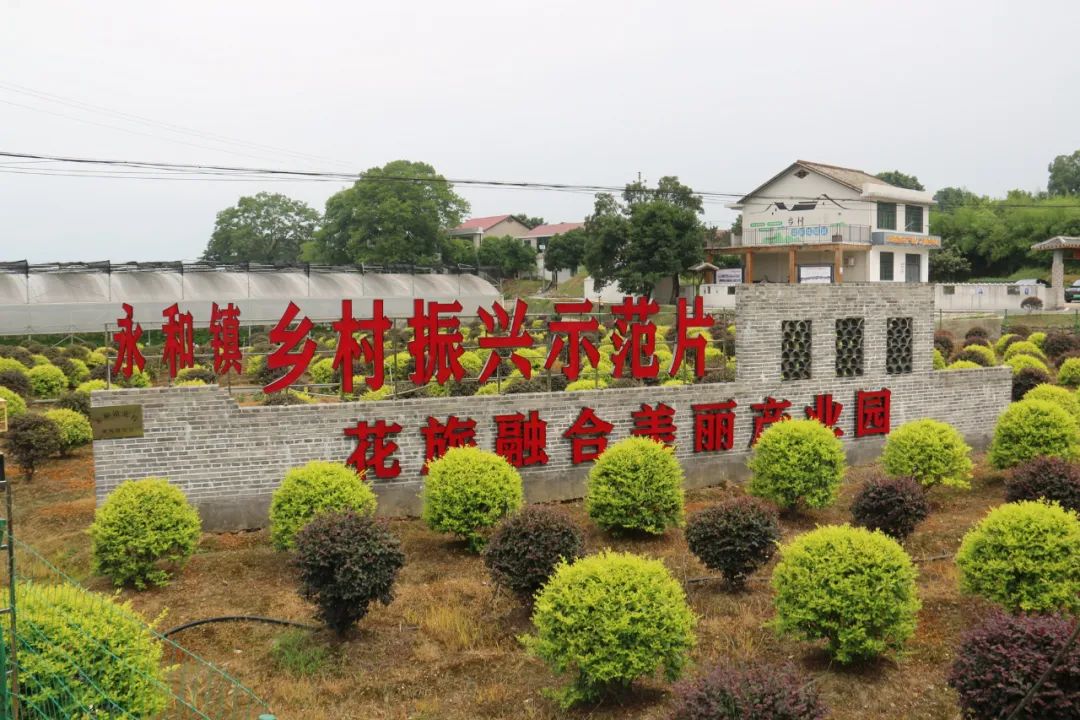 享丰收硕果赴文明之约长沙市文联调研浏阳市永和镇永福村乡村振兴工作