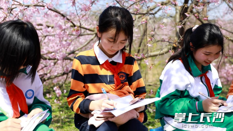 孩子们在“探秘樱花园”打卡手册上留下自己对活动的印象。