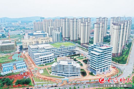   岳麓高新区以高质量党建引领园区、企业高质量发展，推动项目从蓝图走向现实。图为统联精密项目。 王志伟 摄