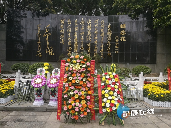 杨开慧烈士纪念园举行清明集体默哀活动